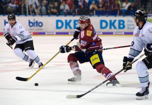 Eisbären Berlin